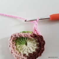 flor-da-serra-passo-a-passo-41