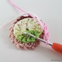 flor-da-serra-passo-a-passo-42