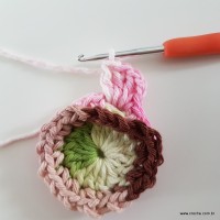 flor-da-serra-passo-a-passo-47