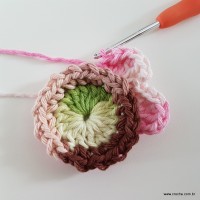 flor-da-serra-passo-a-passo-55