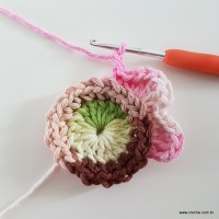 flor-da-serra-passo-a-passo-56