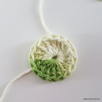 flor-da-serra-passo-a-passo-6