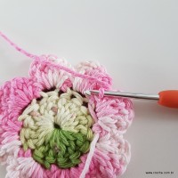 flor-da-serra-passo-a-passo-62