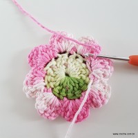 flor-da-serra-passo-a-passo-63