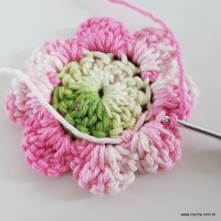 flor-da-serra-passo-a-passo-65