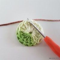 flor-da-serra-passo-a-passo-8