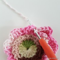 flor-da-serra-passo-a-passo-96