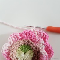 flor-da-serra-passo-a-passo-97