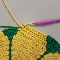 Tapete girassol - passo a passo (145)