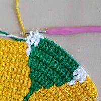 Tapete girassol - passo a passo (188)