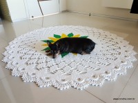 Tapete girassol - passo a passo (507)