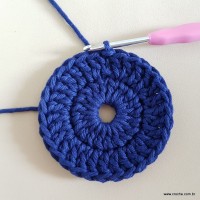 Tapete coqueiro - passo a passo (14)