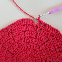 Tapete vermelho malagueta (106)