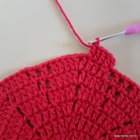 Tapete vermelho malagueta (111)
