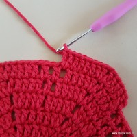 Tapete vermelho malagueta (114)