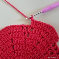 Tapete vermelho malagueta (115)