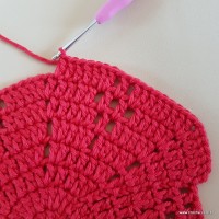 Tapete vermelho malagueta (119)