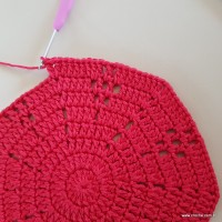 Tapete vermelho malagueta (124)