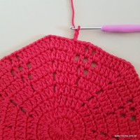 Tapete vermelho malagueta (127)