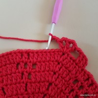 Tapete vermelho malagueta (135)