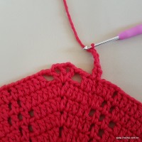 Tapete vermelho malagueta (151)