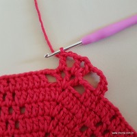 Tapete vermelho malagueta (154)