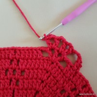 Tapete vermelho malagueta (155)