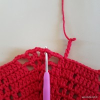 Tapete vermelho malagueta (167)