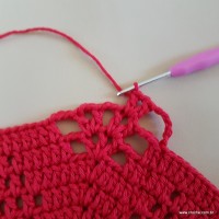 Tapete vermelho malagueta (169)