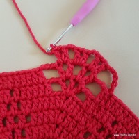 Tapete vermelho malagueta (173)