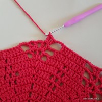 Tapete vermelho malagueta (177)