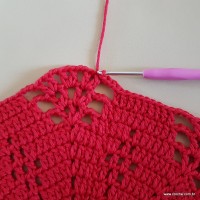 Tapete vermelho malagueta (186)