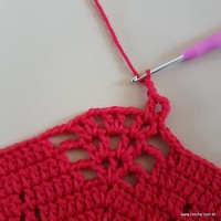 Tapete vermelho malagueta (190)