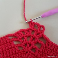 Tapete vermelho malagueta (192)