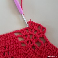 Tapete vermelho malagueta (196)