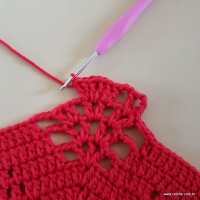 Tapete vermelho malagueta (197)