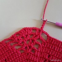 Tapete vermelho malagueta (211)