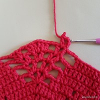 Tapete vermelho malagueta (213)