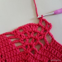 Tapete vermelho malagueta (216)