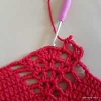 Tapete vermelho malagueta (217)