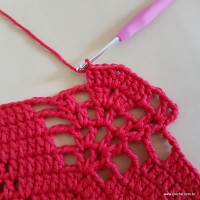 Tapete vermelho malagueta (220)