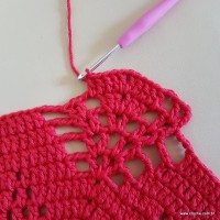 Tapete vermelho malagueta (221)