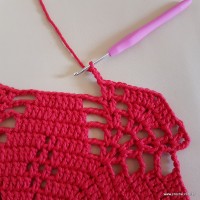 Tapete vermelho malagueta (224)