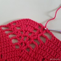 Tapete vermelho malagueta (227)