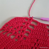 Tapete vermelho malagueta (228)