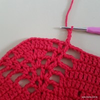 Tapete vermelho malagueta (229)