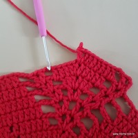 Tapete vermelho malagueta (235)