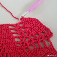 Tapete vermelho malagueta (236)