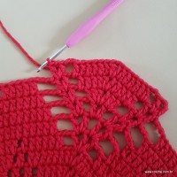 Tapete vermelho malagueta (238)