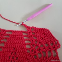 Tapete vermelho malagueta (239)